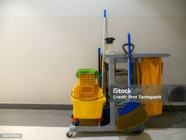 istockphoto 1030391866 612x612