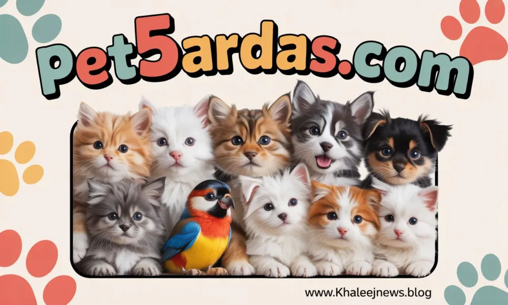 byhLQBCoSdy0B4gqFFpSOg@2k