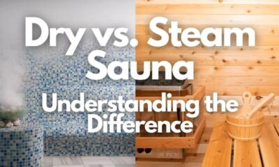 dry vs wet sauna
