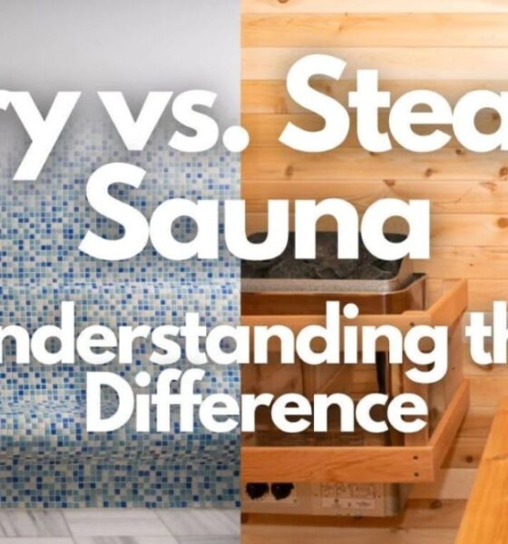 dry vs wet sauna