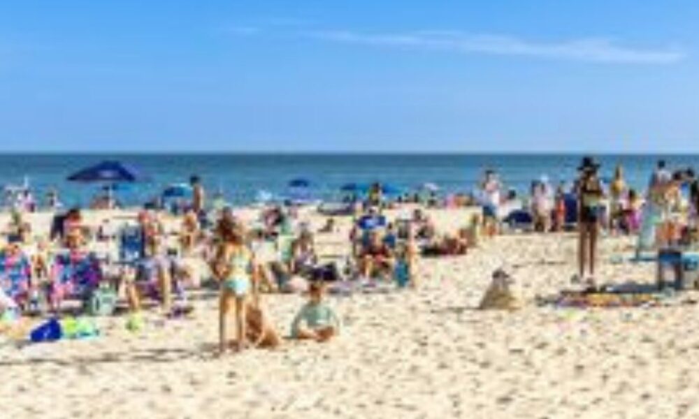 american revenge travel surge