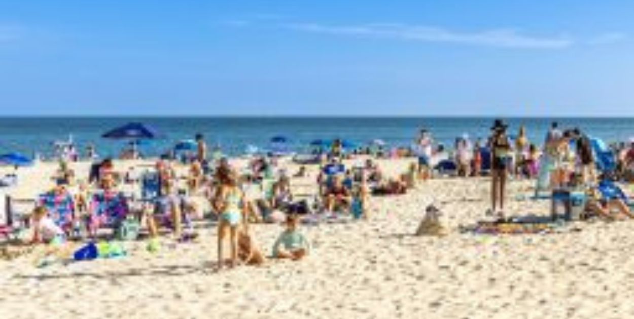 american revenge travel surge